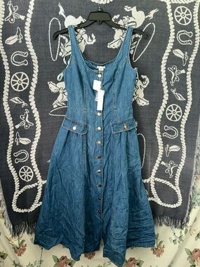 Shoshanna Blue Denim Button-Front Maxi Dress
